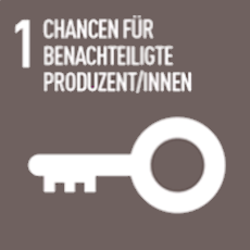 1. Grundsatz: Chancen für wirtschaftlich benachteiligte Produzenten schaffen - Die Bekämpfung der Armut durch den Fairen Handel ist ein ganz zentrales Ziel. Kleinproduzenten werden dabei unterstützt aus unsicheren Einkommenlagen zu wirtschaftlicher Selbständigkeit und Besitz zu gelangen. Durch diese nachhaltige Entwicklung schafft der Faire Handel neue Absatzmärkte für wirtschaftlich benachteiligte Produzenten.